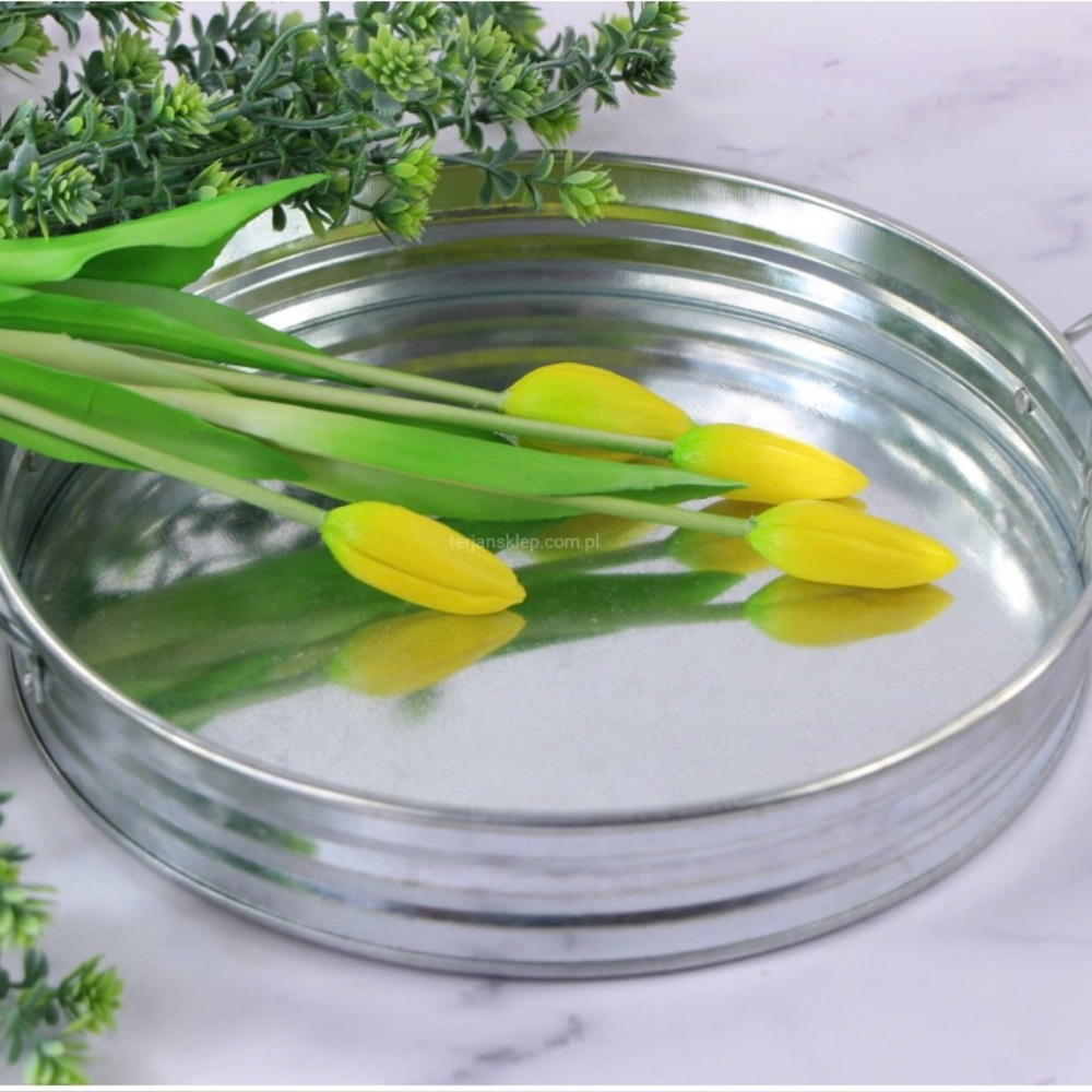 Silver Metal Tin/Tray with Handles